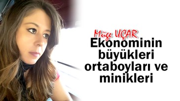 Ekonominin Büyükleri, Ortaboyları Ve Minikleri