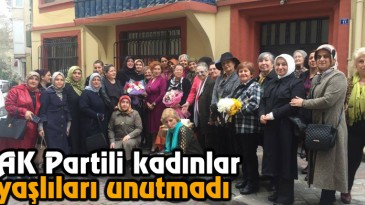 AK Partili Kadınlar Yaşlıları Unutmadı