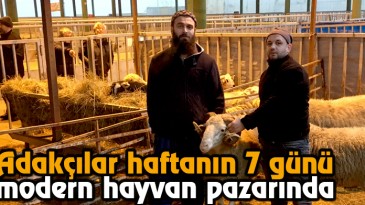 Adakçılar Haftanın 7 Günü Modern Hayvan Pazarında