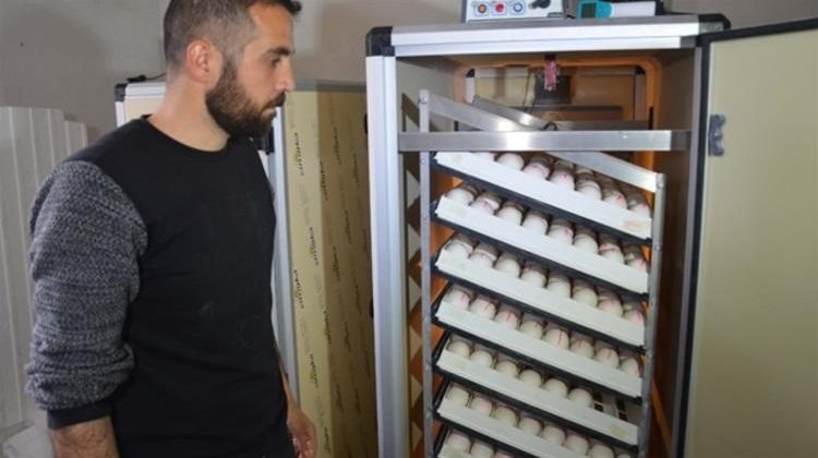 Evini Sattı Köyüne Döndü! Şimdi Paraya Para Demiyor