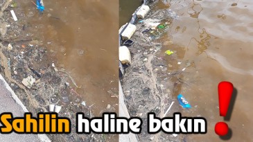 Bunu yapanlar da insan