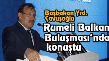 Başbakan Yardımcısı Çavuşoğlu: Batının eksikliğini hissetiği şey liderdir