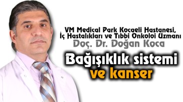Bağışıklık sistemi ve kanser