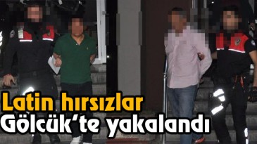Latin hırsızlar yakalandı