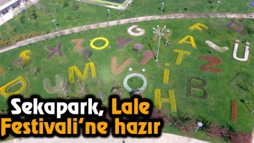 Sekapark, Lale Festivali’ne hazır