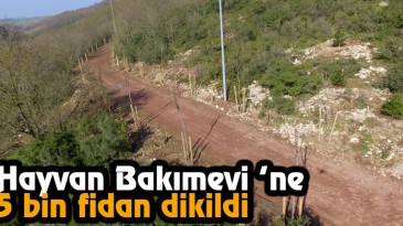 Hayvan Bakımevi ’ne 5 bin fidan dikildi