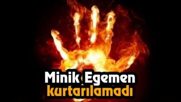 Minik Egemen Kurtarılamadı