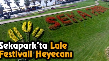 Sekapark’ta Lale Festivali Heyecanı