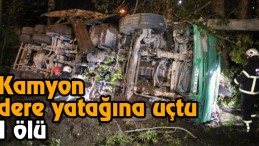 Kamyon dereye uçtu;1 ölü