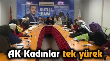 Taşın Altına Bedenimizi Koyduk