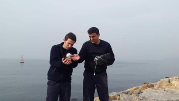 Sahilde kayaların arasına düşen yavru kediyi itfaiye kurtardı