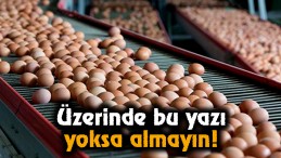 Pazartesi başlıyor…