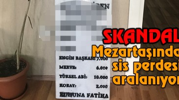 KEO Başkanı ne iş yapar?