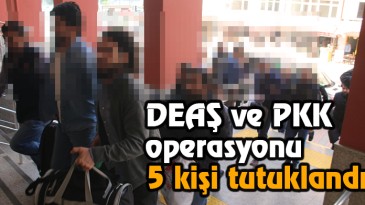 DEAŞ ve PKK operasyonu