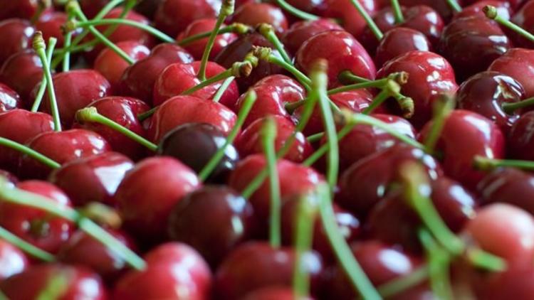 Kirazın kilosu cep yakıyor