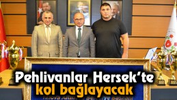 Pehlivanlar Hersek’te kol bağlayacak