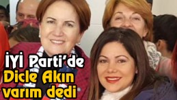 Dicle Akın istifa etti