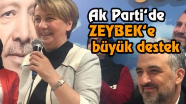 Zeybek başvurusunu yaptı