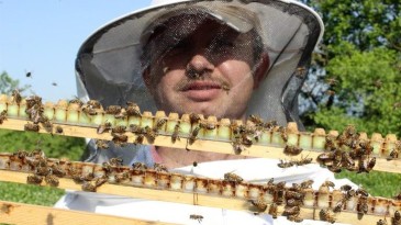 4 bin liradan satılıyor