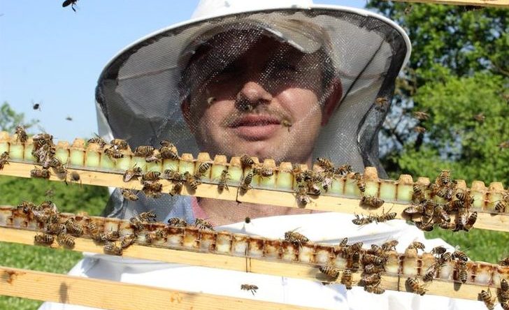 4 bin liradan satılıyor