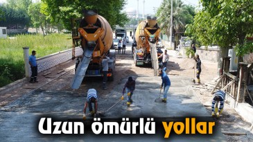 Uzun ömürlü yollar