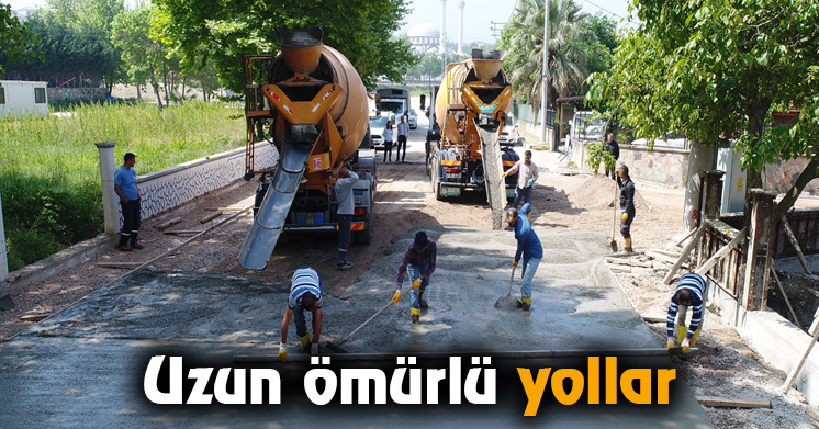 Uzun ömürlü yollar