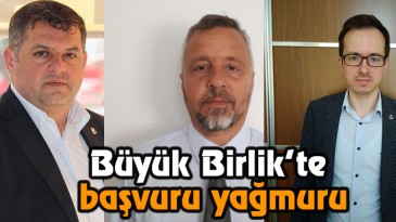 Aday Adayı bolluğu