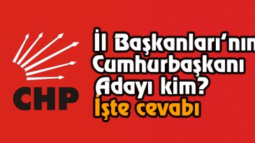 İl Başkanları kimi istedi