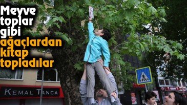 Meyve toplar gibi ağaçlardan kitap topladılar