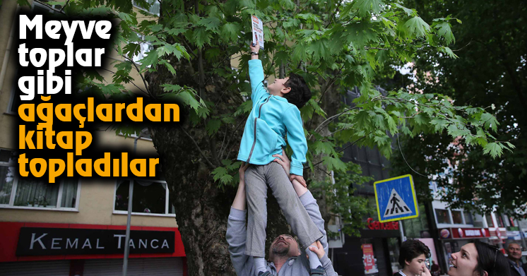 Meyve toplar gibi ağaçlardan kitap topladılar