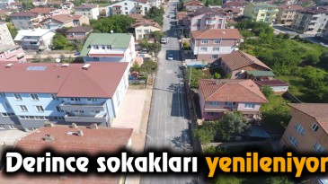 Derince sokakları yenileniyor