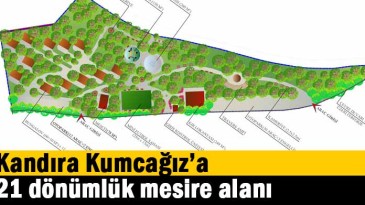 Kandıra Kumcağız’a 21 dönümlük mesire alanı  