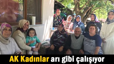 AK Kadınlar arı gibi çalışıyor