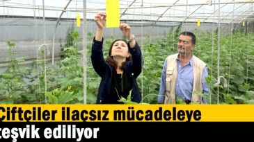 Çiftçiler ilaçsız mücadeleye teşvik ediliyor  
