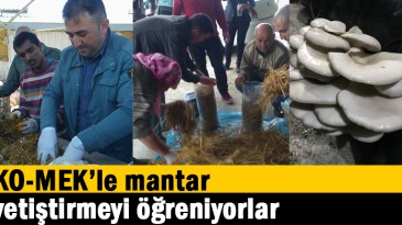 KO-MEK’le mantar yetiştirmeyi öğreniyorlar  
