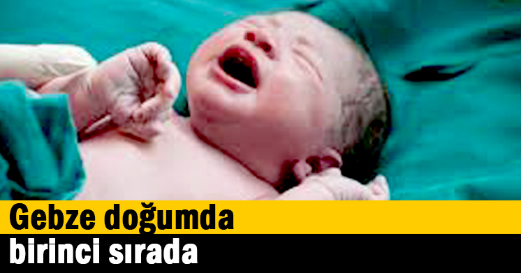 Gebze doğumda birinci sırada