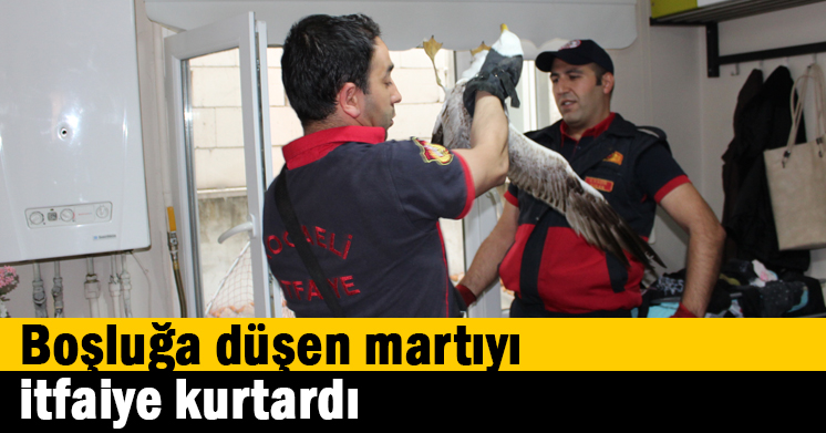 Boşluğa düşen martıyı itfaiye kurtardı