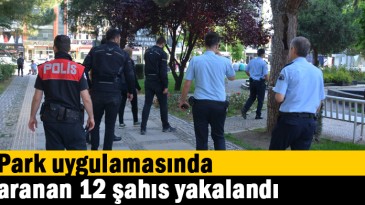 Park uygulamasında aranan 12 şahıs yakalandı
