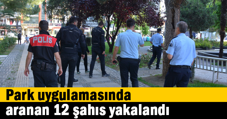 Park uygulamasında aranan 12 şahıs yakalandı
