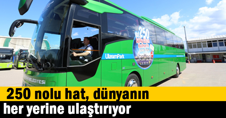 250 nolu hat, dünyanın her yerine ulaştırıyor