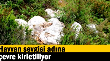 Hayvan sevgisi adına çevre kirletiliyor
