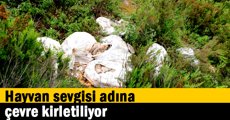 Hayvan sevgisi adına çevre kirletiliyor