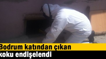 Bodrum katından çıkan koku endişelendirdi
