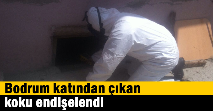 Bodrum katından çıkan koku endişelendirdi