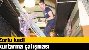 Zorlu kedi kurtarma çalışması