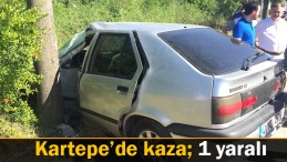 Direğe çarptı, boş alana uçtu