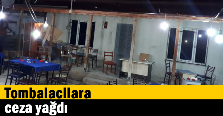 Tombalacilara ceza yağdı