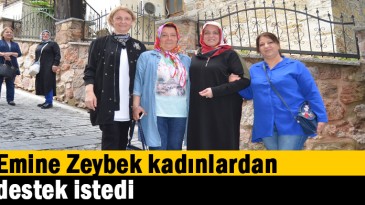 Emine Zeybek kadınlardan destek istedi