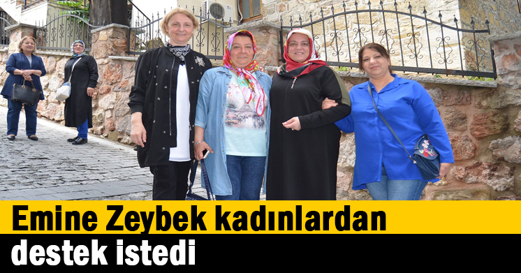 Emine Zeybek kadınlardan destek istedi