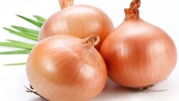 Soğan fiyatlarıyla ilgili çok önemli açıklama